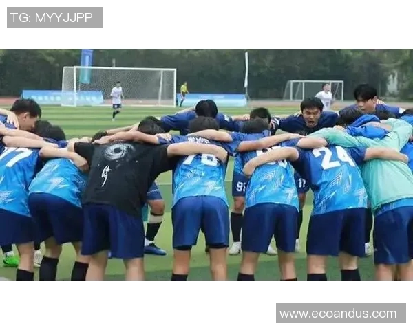 上海足球队在城市联赛中的团队协作表现分析与点评