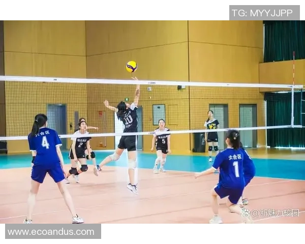 南京排球队在全国排球比赛经验排行榜中荣获第十名的荣耀时刻