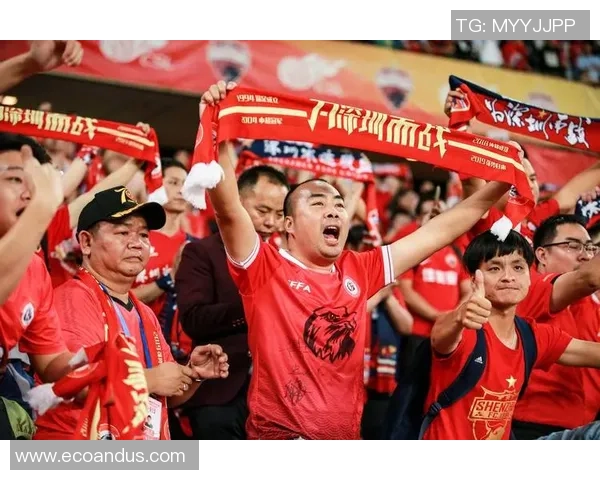 深圳足球队在足球节奏排行榜中荣登第十名展现出强劲实力与潜力