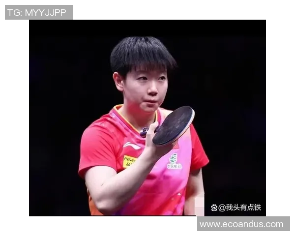 乒乓球传奇之路:深入分析上海乒乓球队员的个人技术与实力