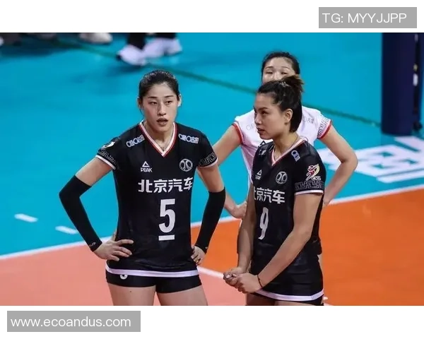 上海排球队在总决赛中的灵活性与战术调整分析