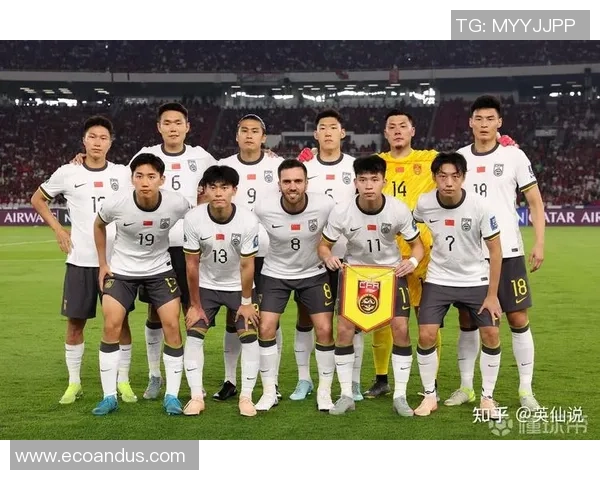 杭州排球队的拼搏之路:世界杯预选赛背后的故事与奋斗精神