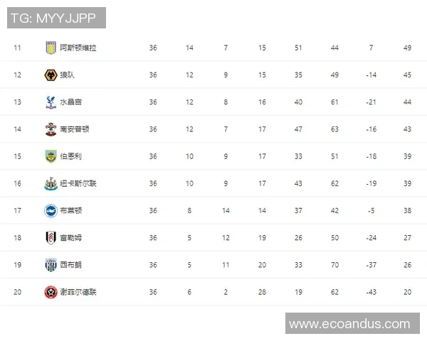 深圳篮球队实力分析与数据解读探讨其在联赛中的表现与潜力