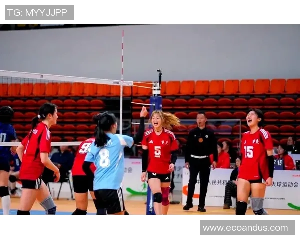 重庆排球队的团队协作之道：排球背后的默契与拼搏精神探秘